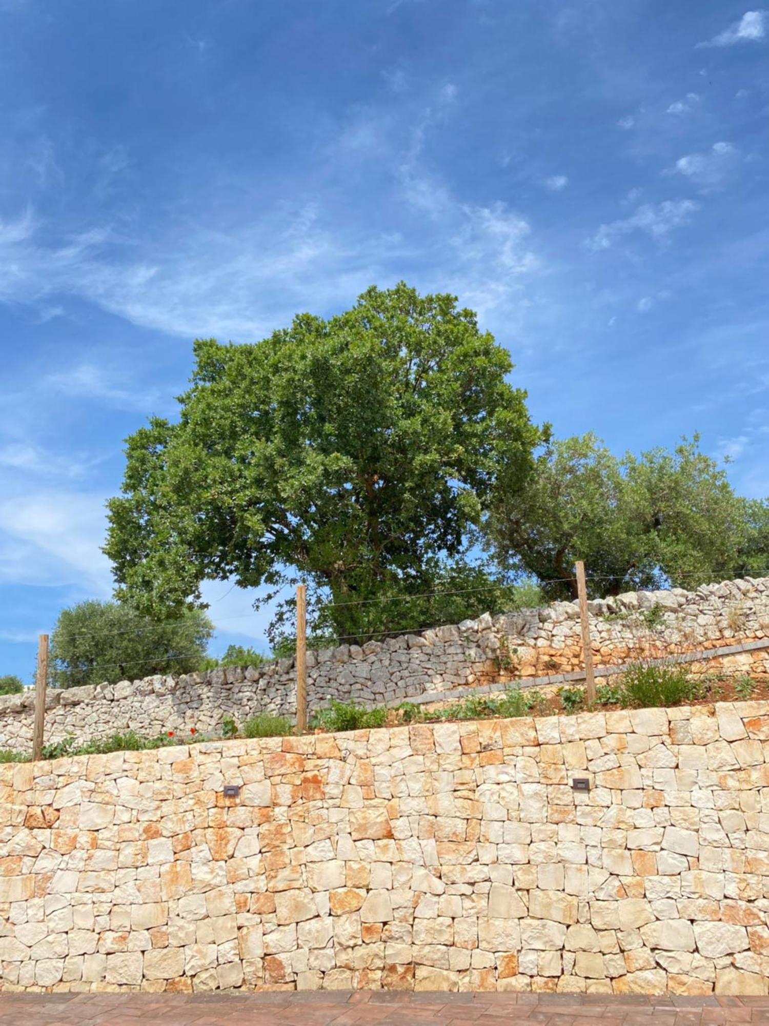 Trulli Mbs By Apulia Hospitality Lejlighed Locorotondo Eksteriør billede