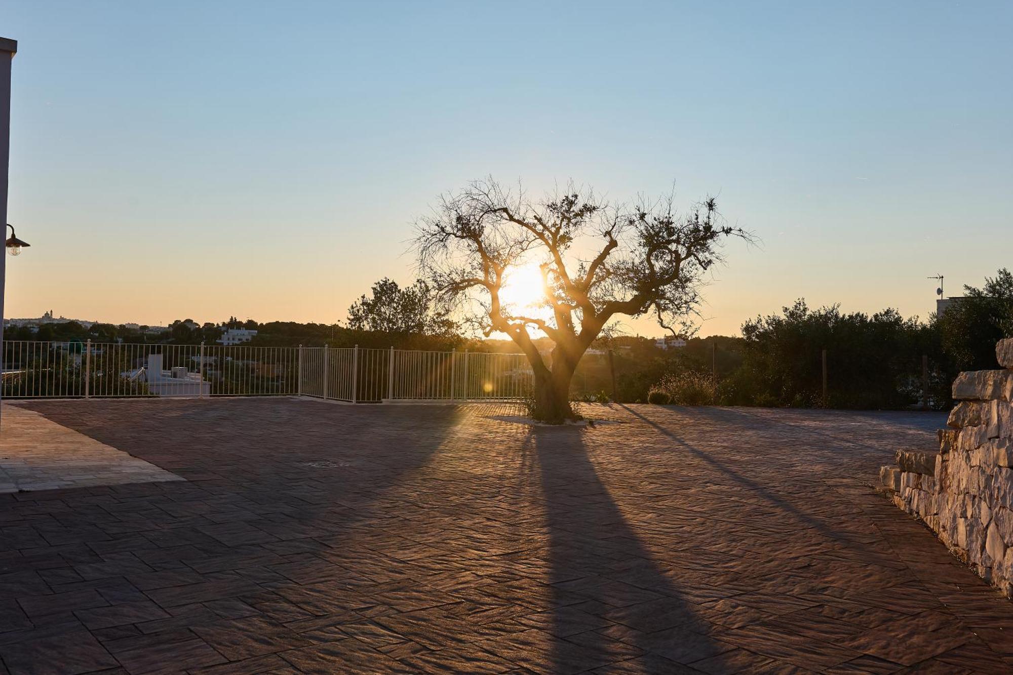 Trulli Mbs By Apulia Hospitality Lejlighed Locorotondo Eksteriør billede