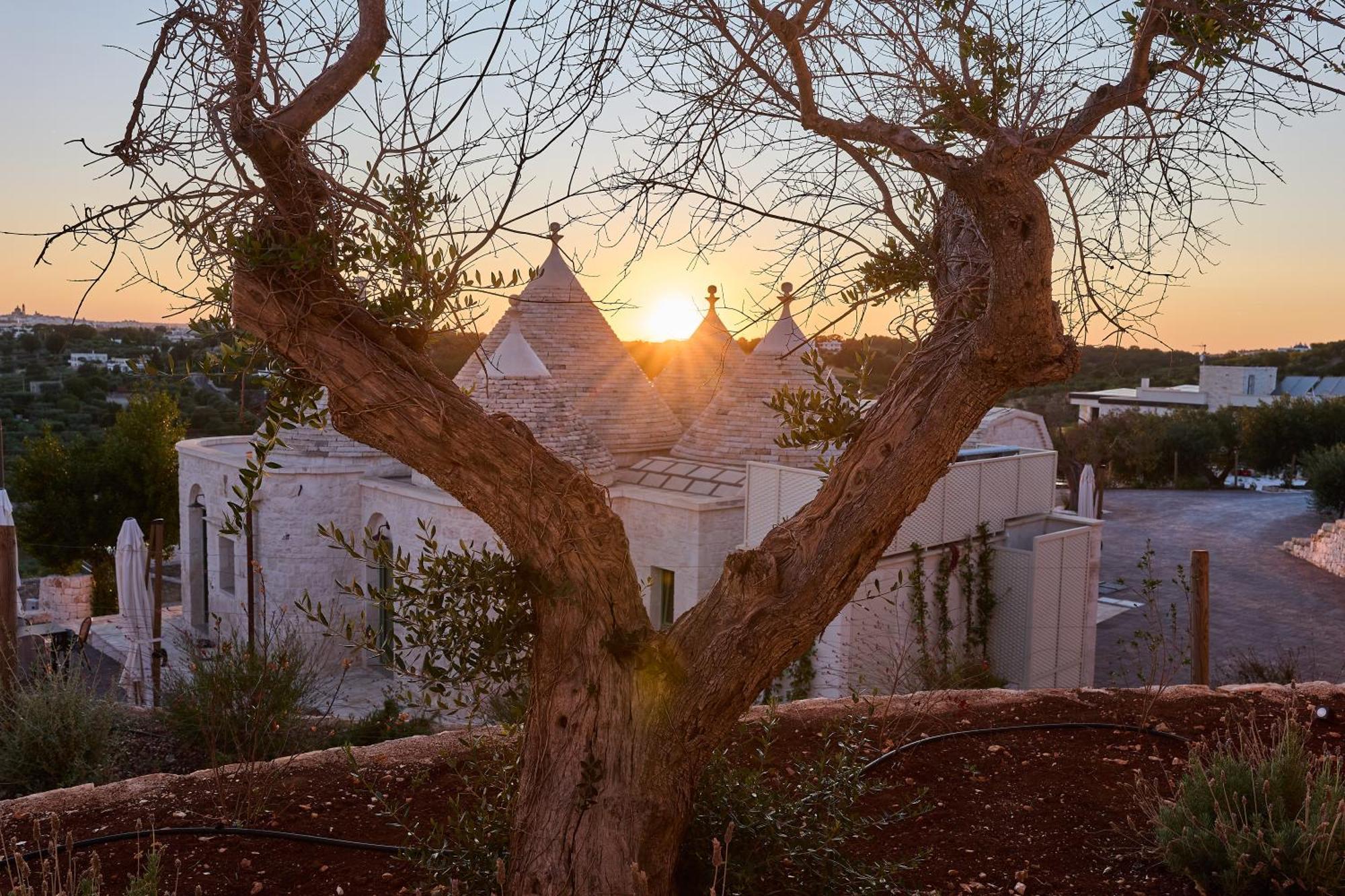 Trulli Mbs By Apulia Hospitality Lejlighed Locorotondo Eksteriør billede
